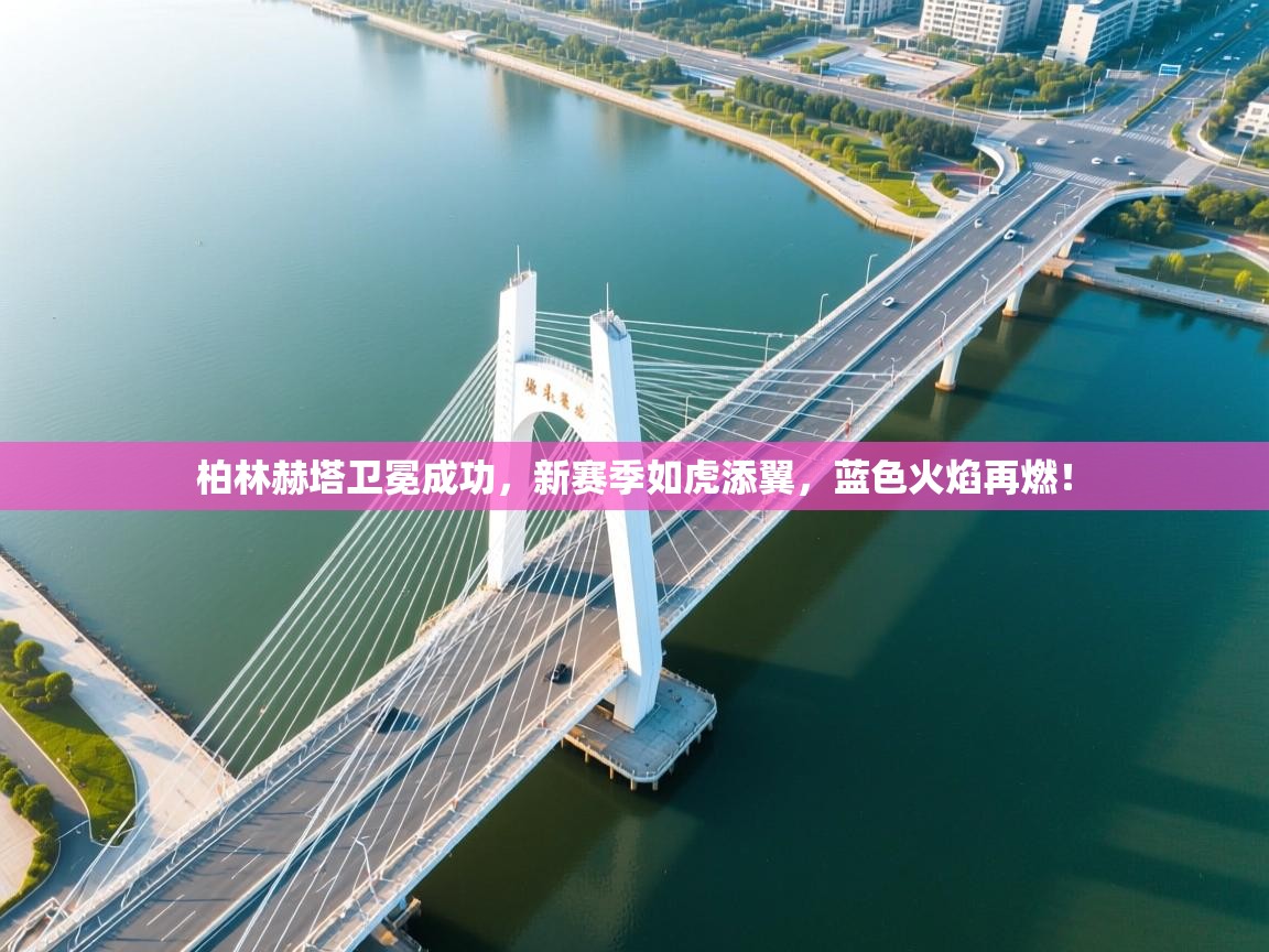 柏林赫塔卫冕成功，新赛季如虎添翼，蓝色火焰再燃！  第2张