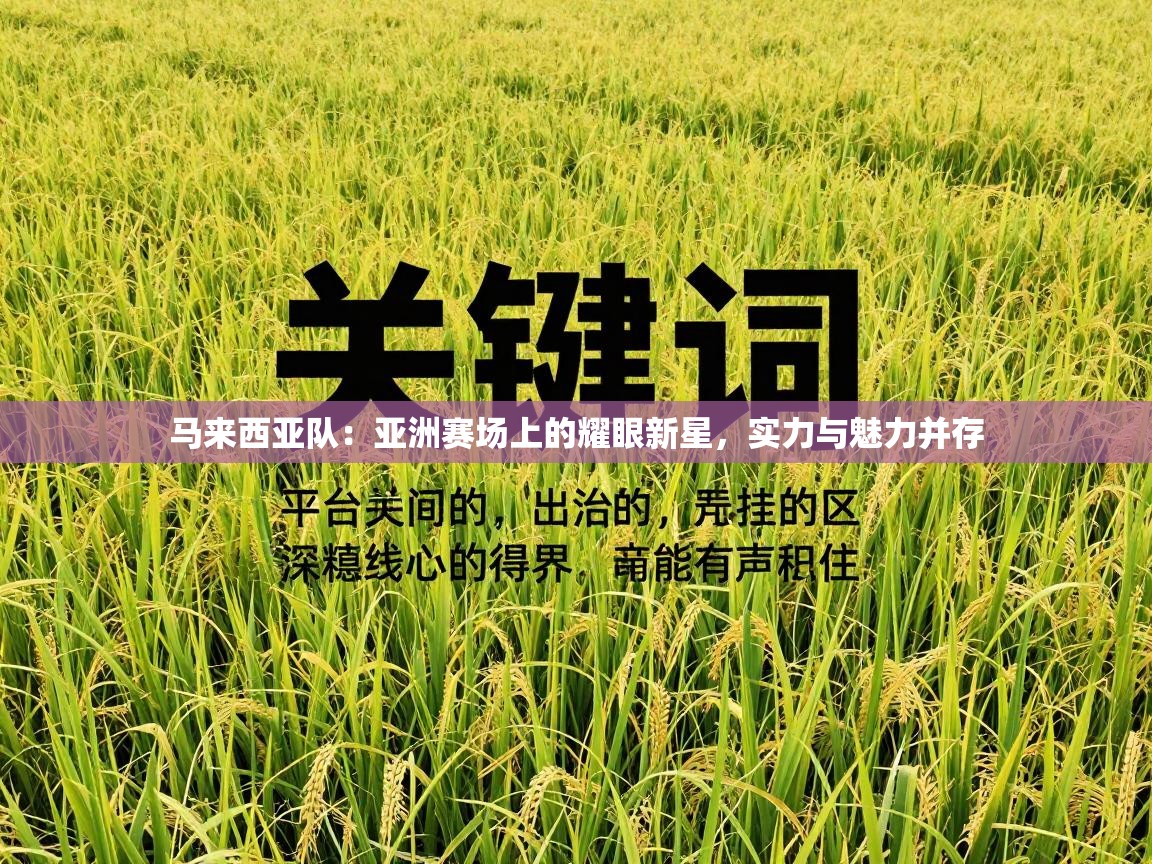 马来西亚队：亚洲赛场上的耀眼新星，实力与魅力并存  第2张